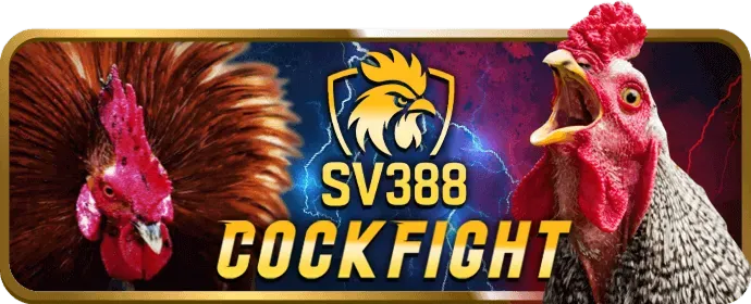 Ưu đãi độc quyền cho thành viên VIP vz99